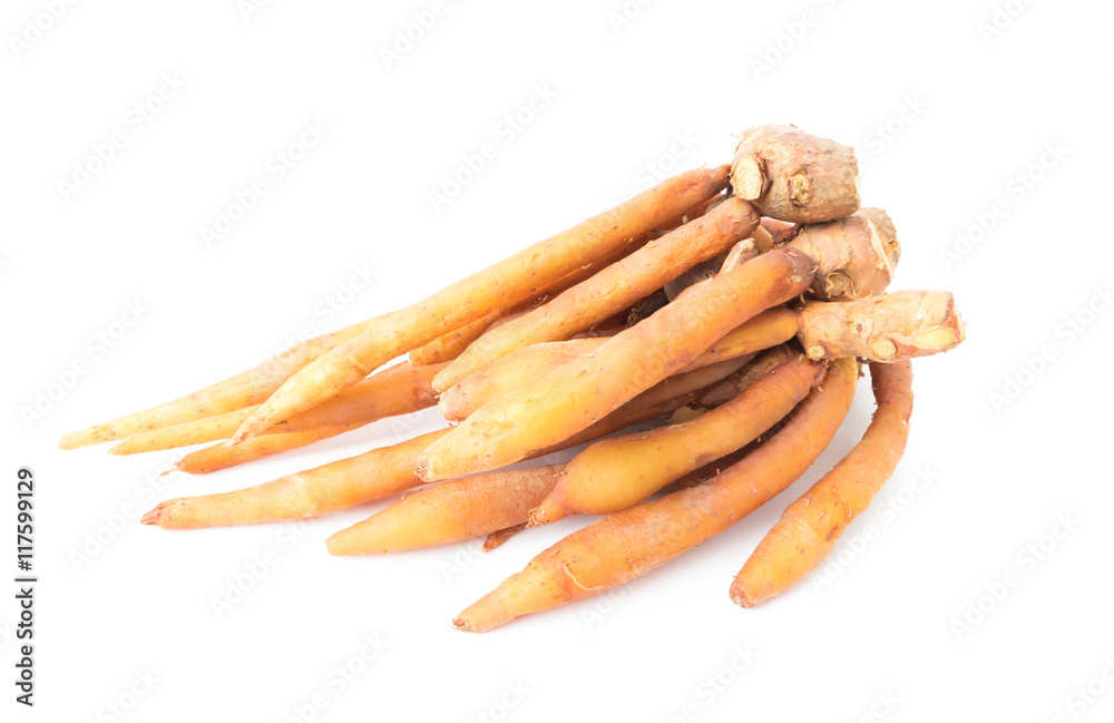 Fingerroot on white background, health care and ,raw material for cooking concept Fingerroot on white background, health care and ,raw material for cooking concept