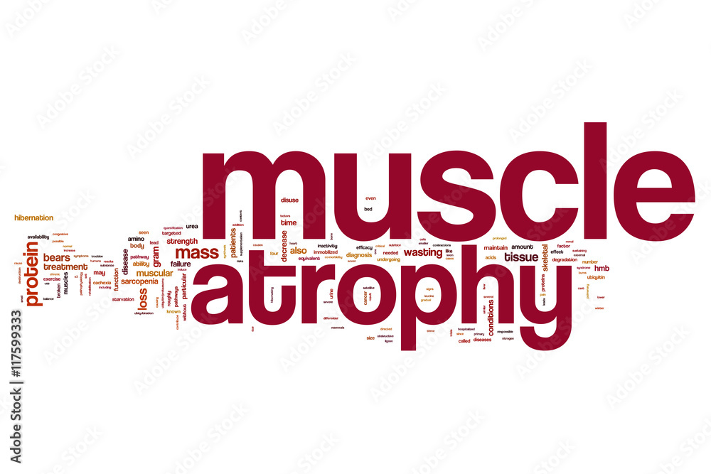 Muscle atrophy word cloud concept