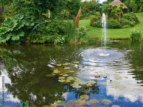 Ornamental pond and water fountain in a garden