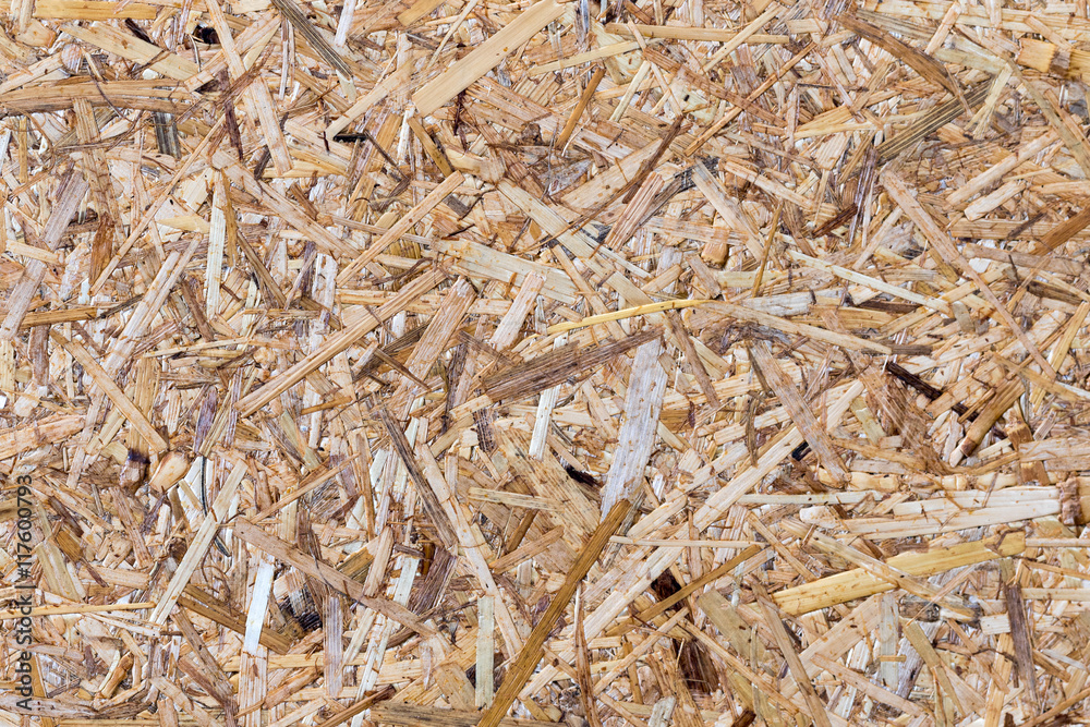 The plywood surfaces The plywood surfaces