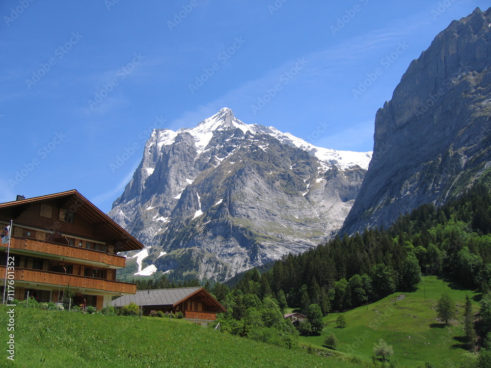View of the Wetterhorn above Grindelwald, Switzerland with mountain chalets and pasture in the foreground