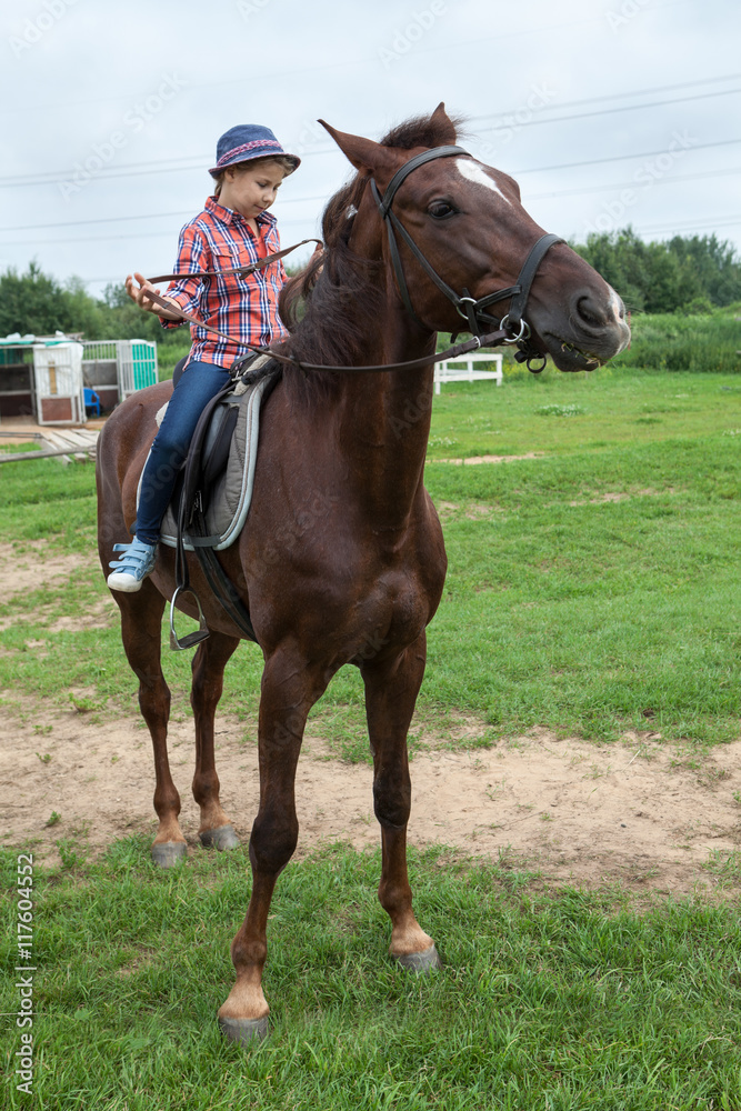 Little country girl trying to control the horse using a bridle Little country girl trying to control the horse using a bridle