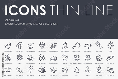 Organisms Thin Line Icons