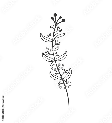 leaf garden decoration floral icon. Isolated and flat illustration. Vector graphic