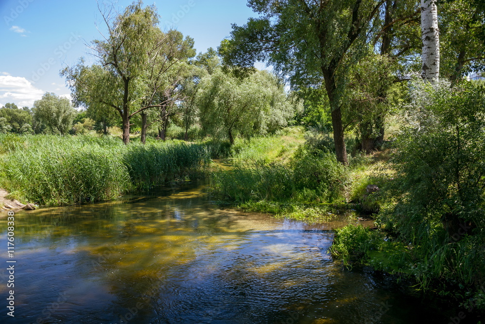 Summer, the river in the shade of trees