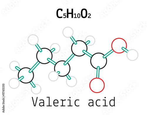 C5H10O2 Valeric acid molecule photo