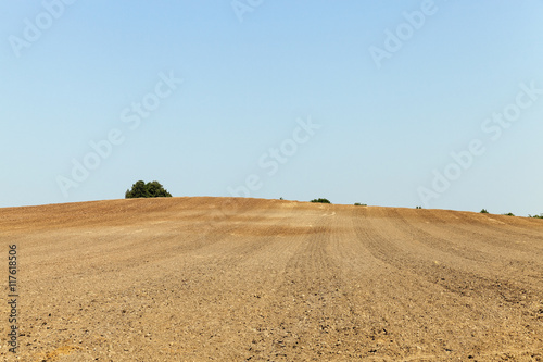 plowed land, summer