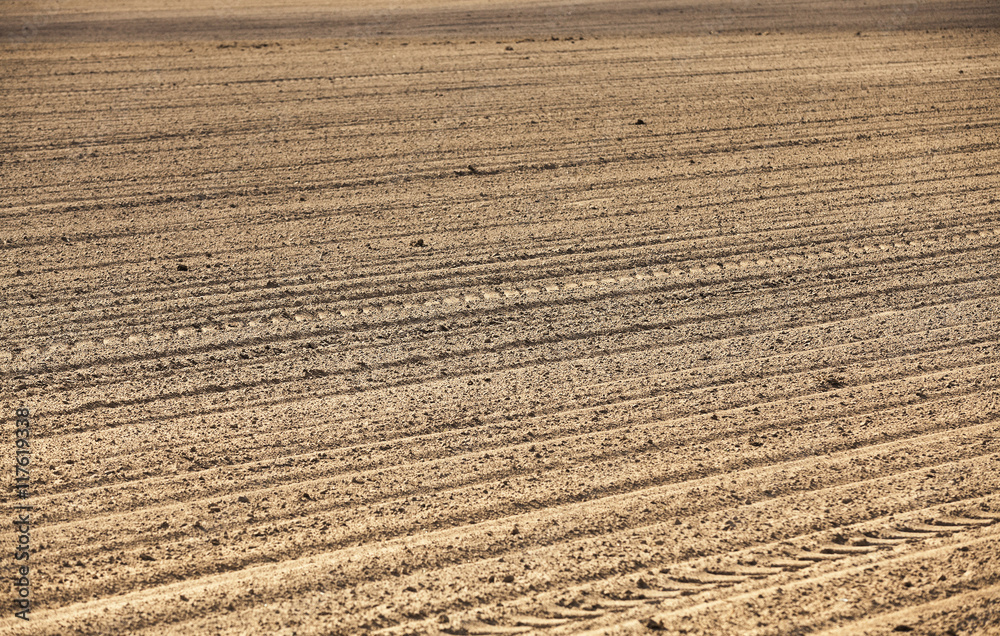 empty agricultural field empty agricultural field