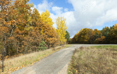 road in the autumn season