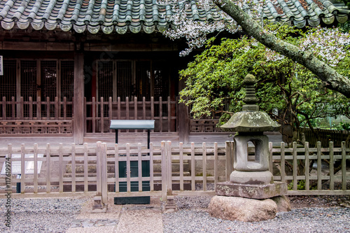 Stone lanterns (Ishidoro) in front of shrine. photo