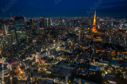 Night view of Tokyo in Japan cityscape Tokyo tower photo