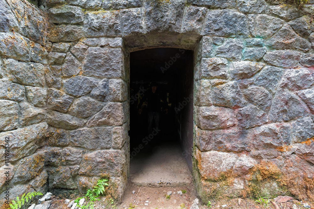 Doorway into Abandoned Stone House