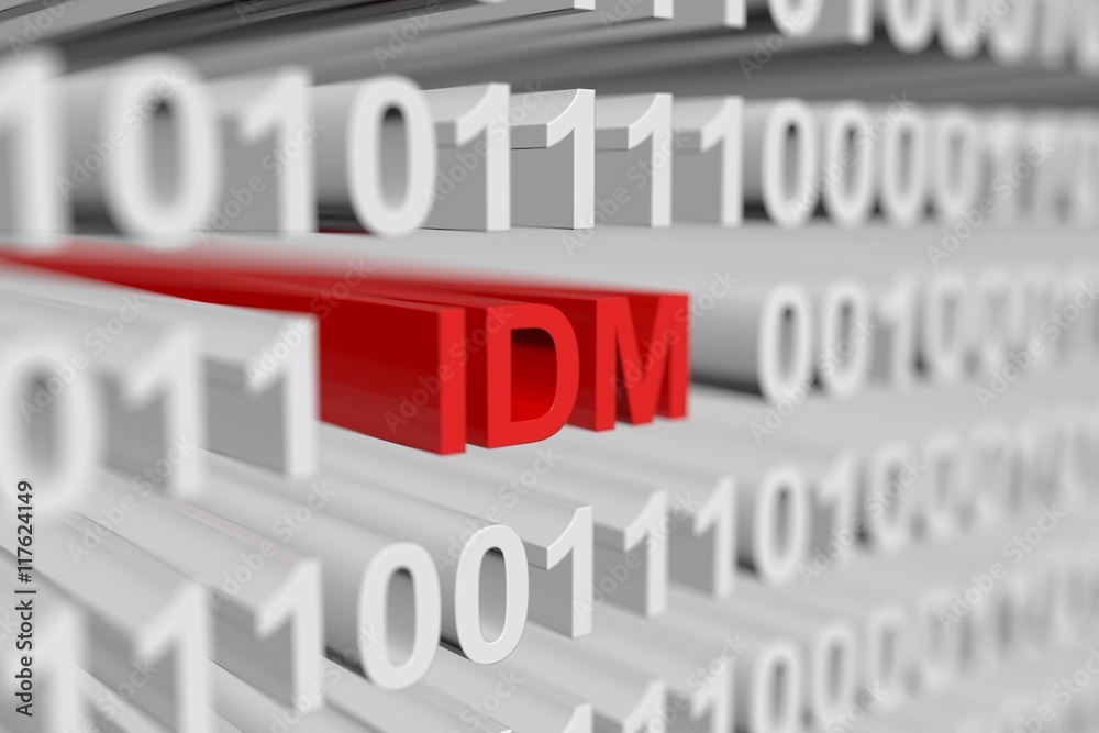 IDM in binary code with blurred background 3D illustration