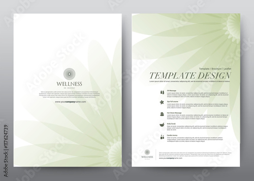 Spa Wellness Medical topic Template elements, Presentation, brochure poster flyer leaflet, vector illustration design