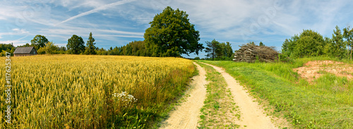 Countryside road in summer, Europe