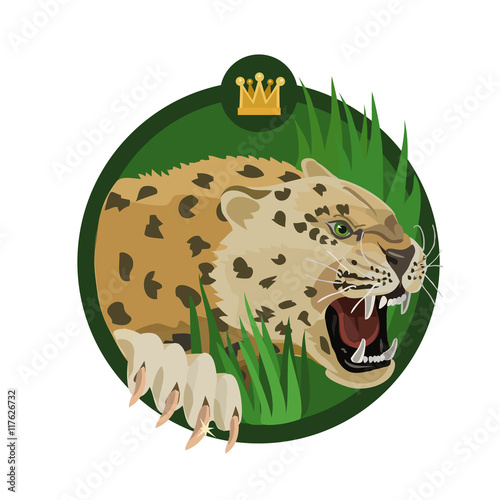 King leopard growls/ King leopard roars in the jungle, showing that he is the master of his territory, and he protects her. 