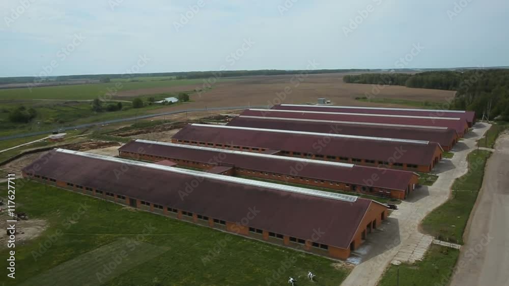 Aerial shot roof of the animal houses in the farm Aerial shot roof of the animal houses in the farm