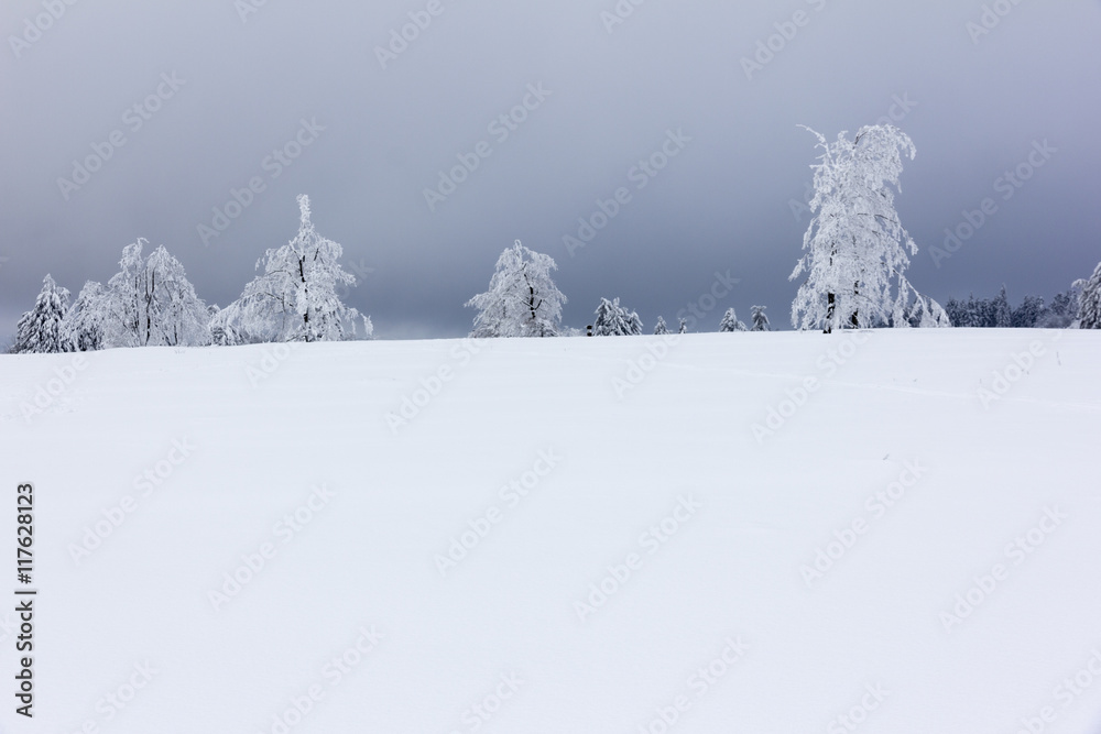 Fototapeta premium Winter landscape