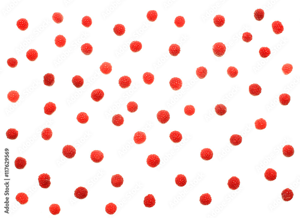 raspberry raspberry