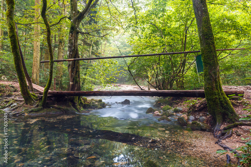 Wooden bridge over river