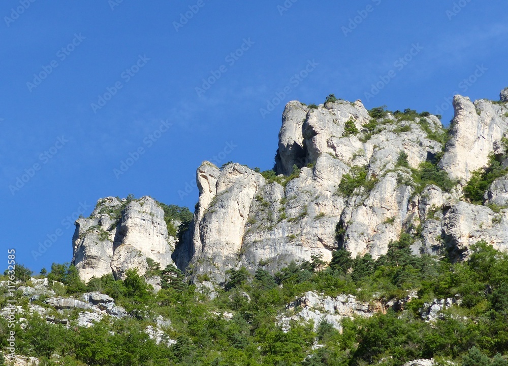 Gorges du Tarn