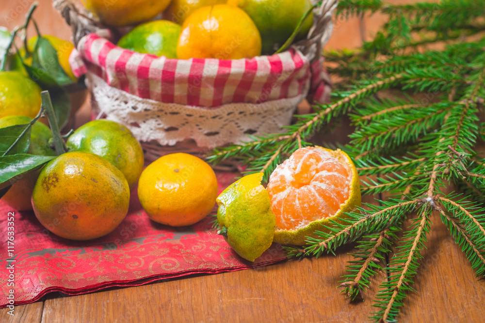 Tangerines in plate and Branch of Coniferous