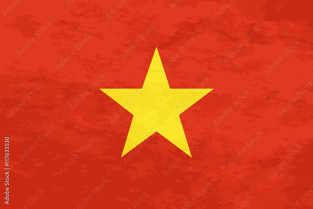 True proportions Vietnam flag with texture
