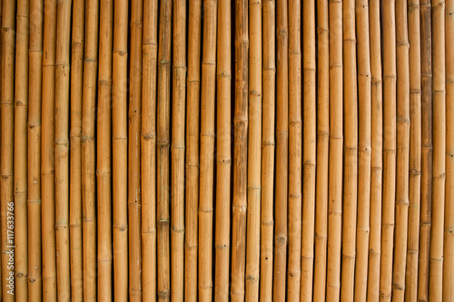 Fototapeta Naklejka Na Ścianę i Meble -  Dry bamboo wall, For texture and background.