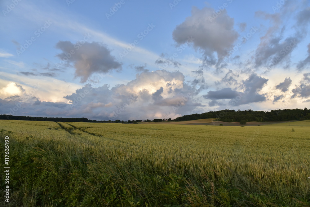 Nuages gris et jaunes soufre s'effilochant dans la lumière du coucher de soleil après le passage d'un front froid au Périgord Vert Nuages gris et jaunes soufre s'effilochant dans la lumière du coucher de soleil après le passage d'un front froid au Périgord Vert