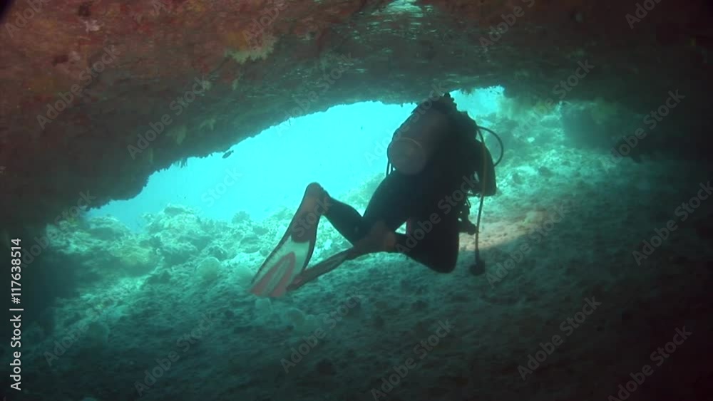 diver dive a cave fish and coral beautiful colors scuba diving maldives scuba diving maldives diver dive a cave fish and coral beautiful colors scuba diving maldives scuba diving maldives
