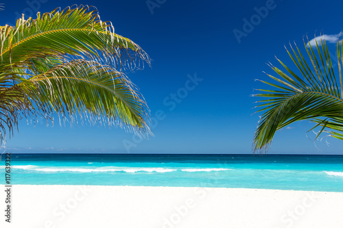 Tropical beach with coconut palm tree leafs, turquoise sea water © photopixel