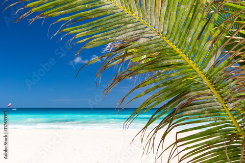 Perfect caribbean beach © photopixel