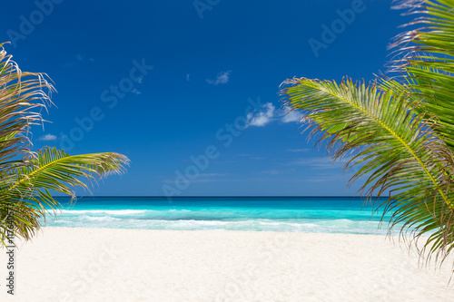 Fototapeta Naklejka Na Ścianę i Meble -  Perfect caribbean beach