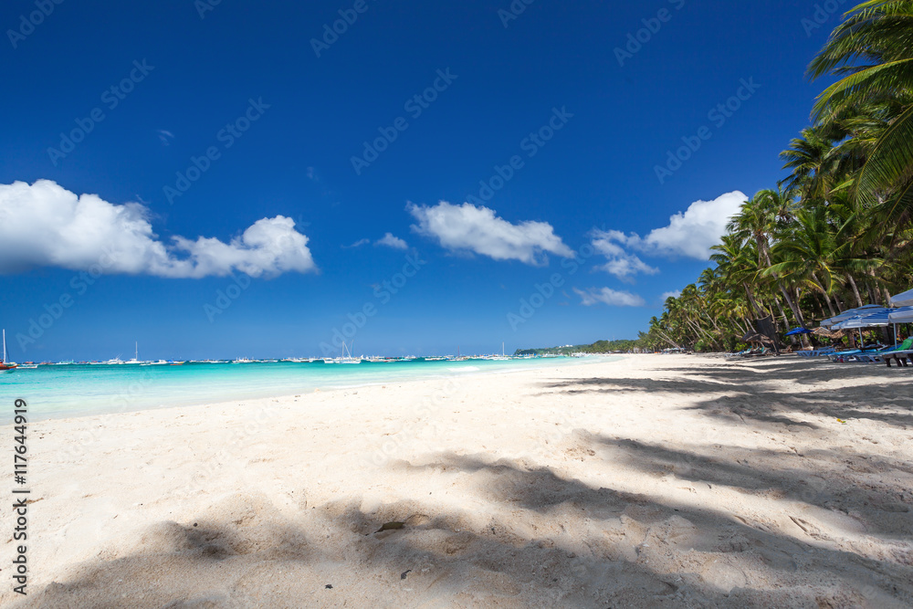 Tropical sandy shore