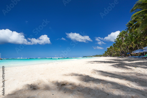 Tropical sandy shore © photopixel