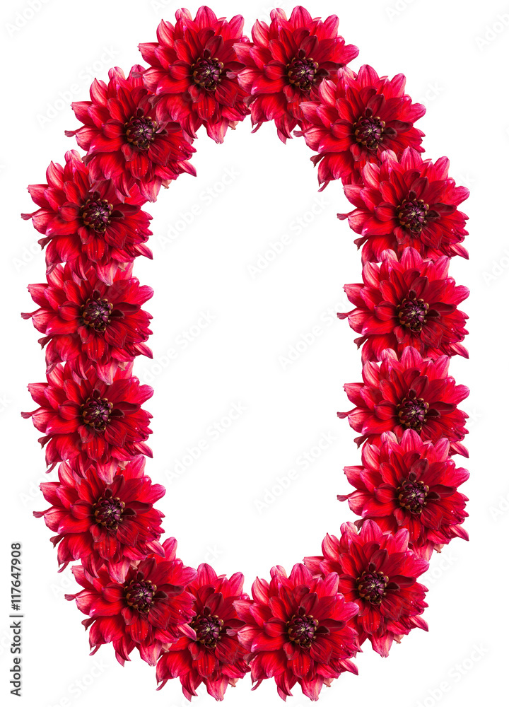 numbers of red dahlia flower. isolated on white background numbers of red dahlia flower. isolated on white background
