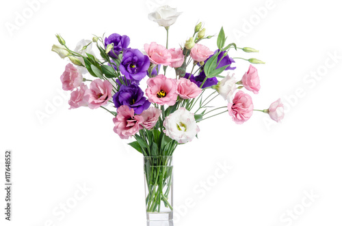 Fototapeta Naklejka Na Ścianę i Meble -  bunch of violet, white and pink eustoma flowers in glass vase is