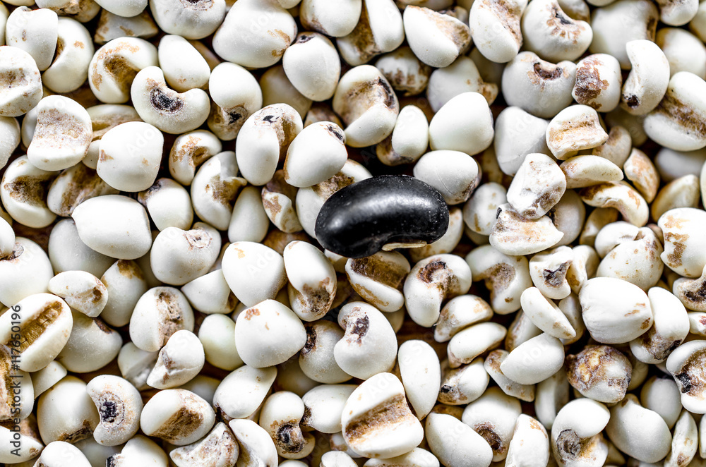 adlay millet and black beans