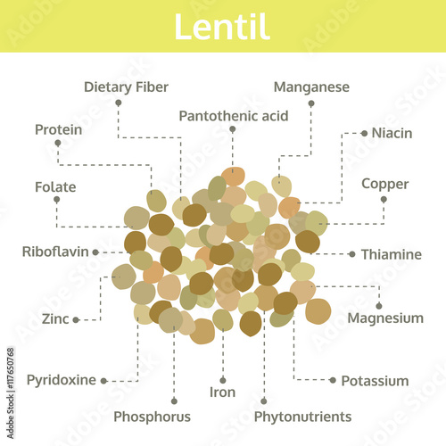 lentil nutrient of facts and health benefits, info graphic