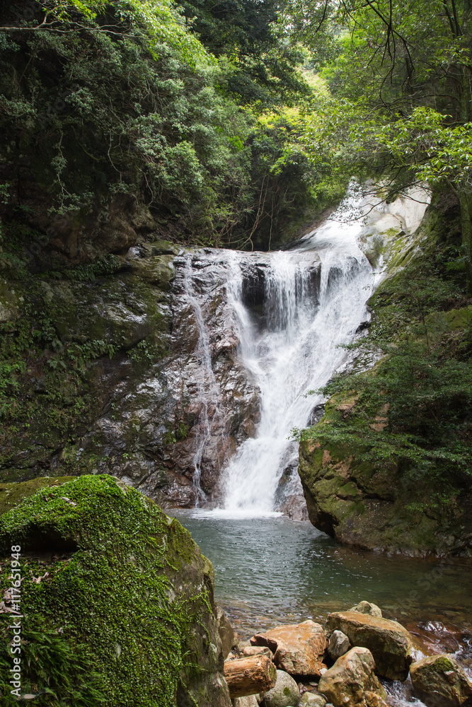 Naklejka premium 愛媛県宇和島市 薬師谷渓谷 雪輪の滝