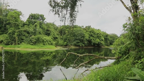 River flows in the rainforest of Costa Rica
