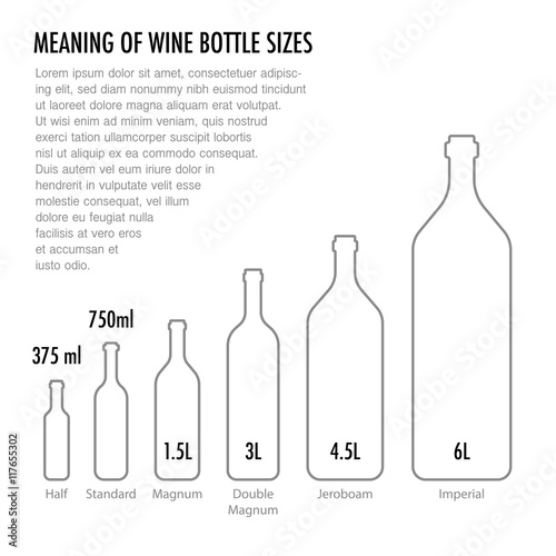 Meaning of wine bottle size. Typography poster in a modern flat style for wine tasting, information poster for wineries or wine shop