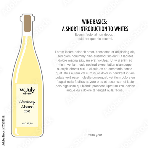 Bottle of white wine in flat style isolated on white background. Typography poster for wine tasting or information poster for wineries or wine shop