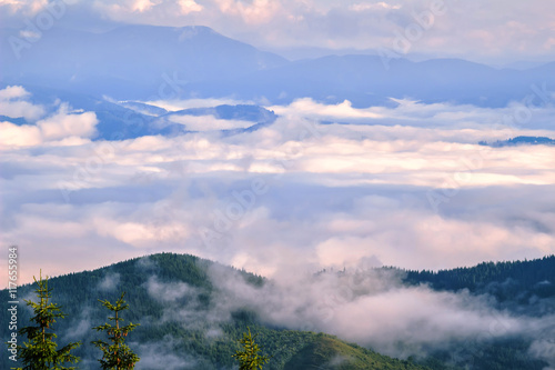 Picturesque morning in mountains above clouds  Carpathians  Ukraine.