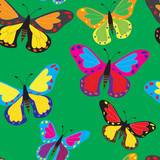 Разноцветные бабочки на зеленом фоне