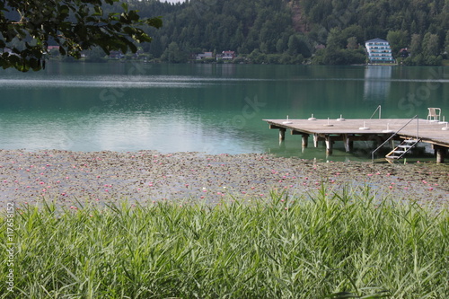 Klopeinersee 2016 3 photo