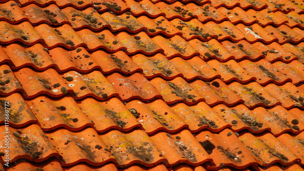 Orange Roof Tiles