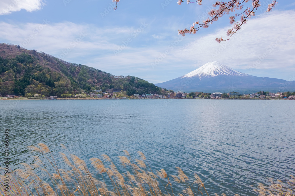 Mount Fuji from lake Kawaguchiko with cherry blossom in Yamanash