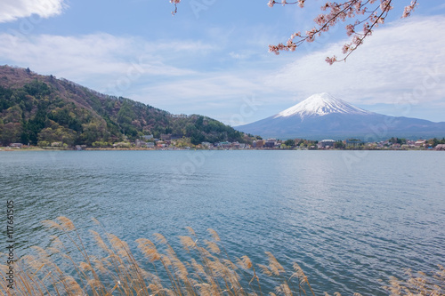 Obraz na płótnie Mount Fuji from lake Kawaguchiko with cherry blossom in Yamanash w salonie
