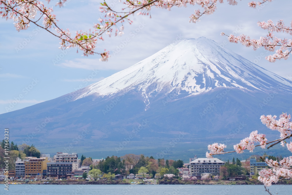 Mount Fuji from lake Kawaguchiko with cherry blossom in Yamanash